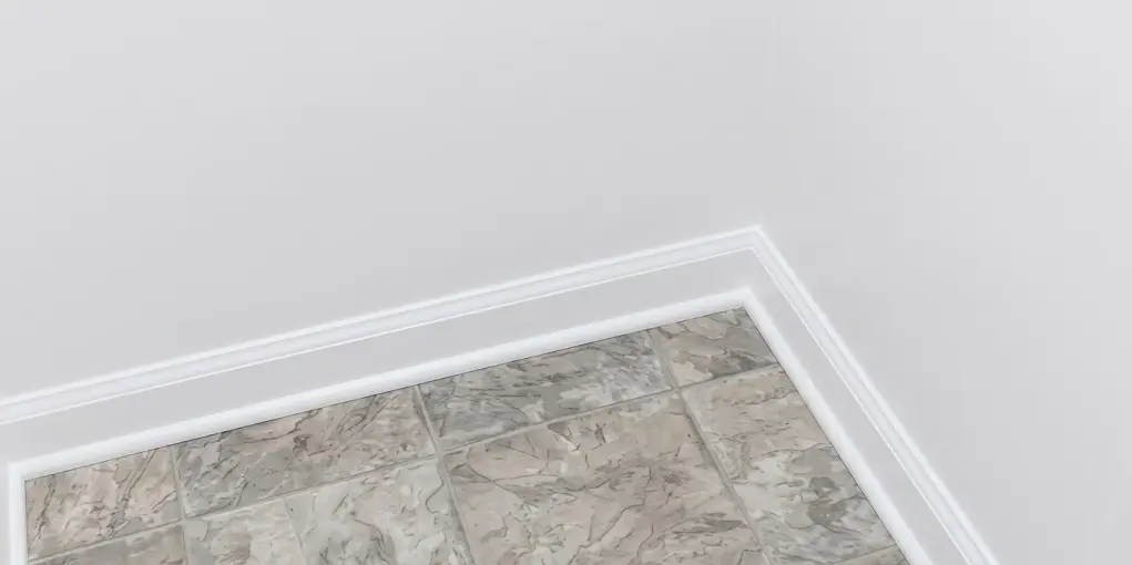 mold removal knoxville after