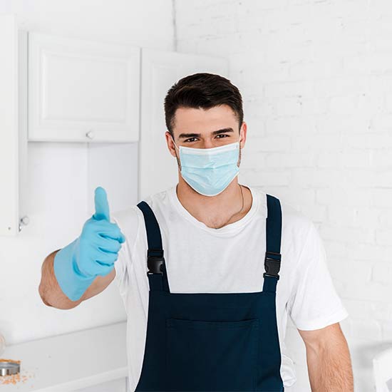 certified mold removal specialist knoxville tn